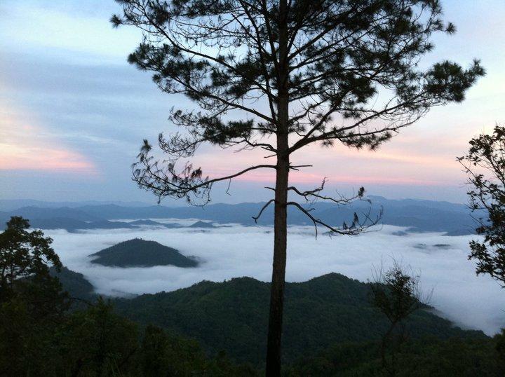 Phu Mork Dao Resort Pong Yaeng Exterior foto